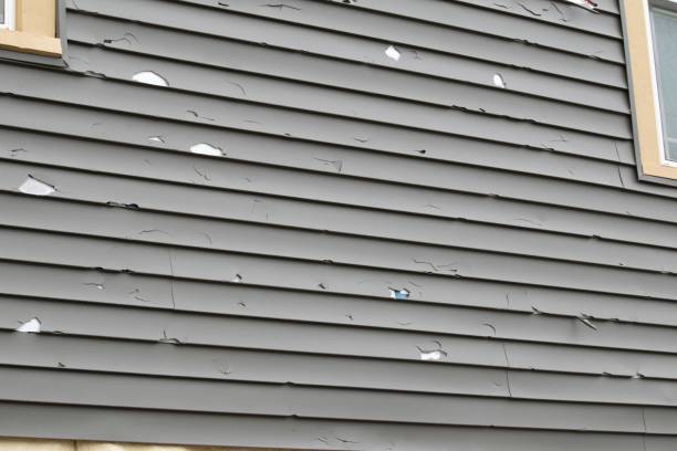 Best Wood Siding Installation  in Oakwood Hls, IL